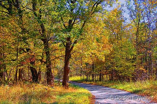 Autumn Back Road_16881.jpg - Photographed near Rideau Ferry, Ontario, Canada.